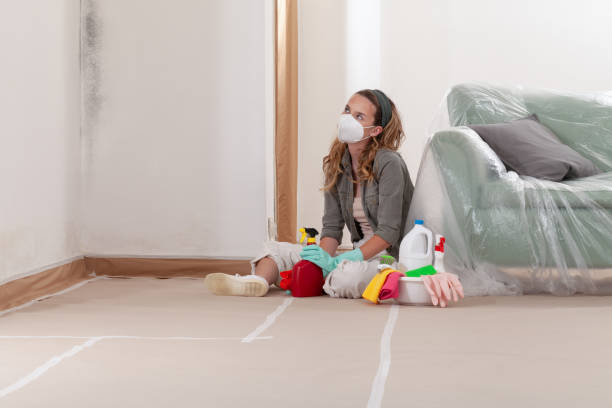 Reliable Black Mold Removal contractor in Wenonah, NJ by WQB Mold Removal
